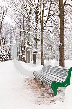 Snowy park