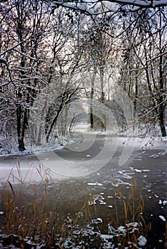 Snowy park