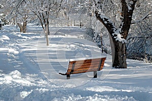 Snowy park bench