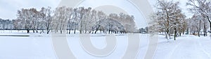 Snowy park landscape. bare trees on shore of frozen canal under grey winter sky. panoramic view