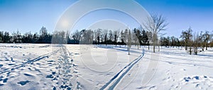 Snowy park landscape on a sunny winter day. trees silhouettes against clear blue sky. panorama