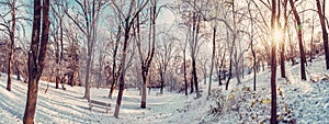 Zasněžený park se sluncem v zimě, Nitra, červený filtr