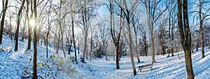 Snowy park with sun in winter, Nitra, Slovakia