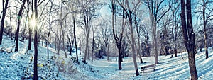 Snowy park with sun in winter, Nitra, Slovakia