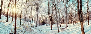 Zasnežený park so slnkom v zime, Nitra