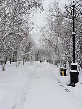 Snowy park