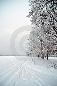 Snowy path