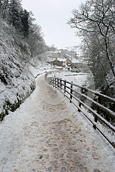 Snowy Path