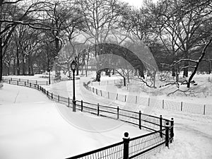 Snowy path in Central Park, New York City