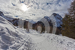 Snowy path at the edge of the forest with Mount Civetta in the background