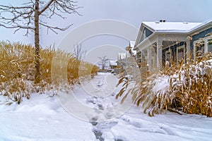 Snowy path and homes in Daybreak during winter