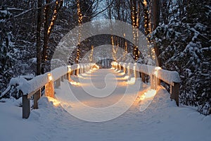 Snowy Path Illuminated by String Lights