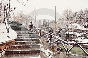 Snowy path and steps