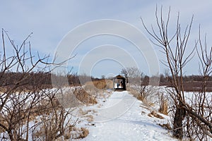 Snowy path to the bridge