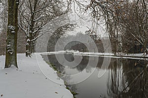 Snowy path with tree near Veseli nad Luznici town in winter white day