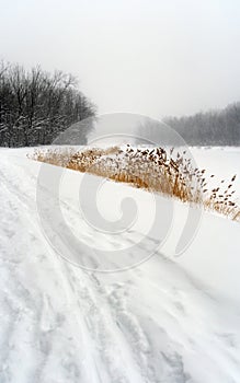 Snowy path in winter landscape