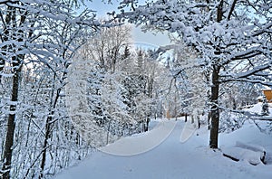 Snowy pathway in small village