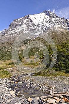 Snowy Peak above the Meadow in Patagonia photo