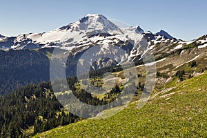 Snowy peak and background meadows