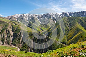 Snowy peaks and green valleys of the Western Tian Shan mountains, Uzbekistan photo