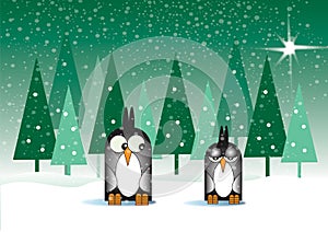 Snowy Penguins