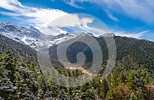 Snowy Pine Tree Forest with a Background of Snow-Capped Mountains in Huanglong, China