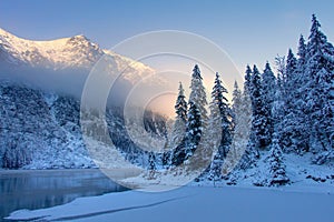 Snowy pine trees on the frozen mountain lakeshore in the morning sunrise. Winter ice lake