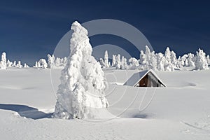 Snowy Plain with a Snowbound Hut photo