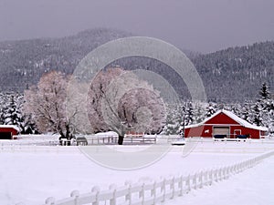 Snowy Ranch and Horses