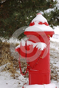 Snowy red hydrant