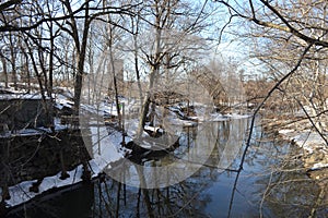 Snowy Riverbank