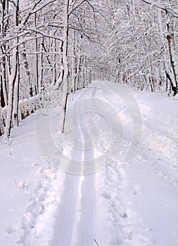 Snowy road