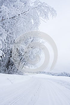 Snowy road