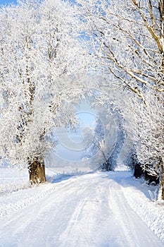 Snowy road