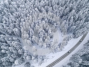 Snowy road with a car in the forest bird`s eye view