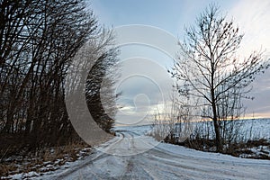 Snowy road in a field leading to pine forest. Winter road to nowhere in sunny day, snow-covered fresh car track. Car