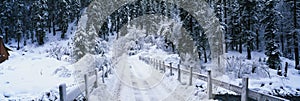 Snowy road in Lake Tahoe, CA