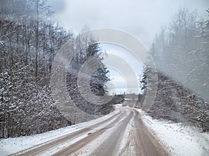 Snowy road surrounded by pine trees