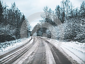 Snowy road surrounded by pine trees