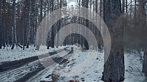 Snowy Road, Trail Through Winter Forest. Morning in the Mixed Forest. Smooth Camera Movement. Winter Concept of Beauty