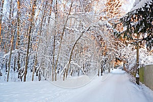 Snowy road in the winter