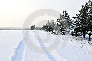 Snowy Road in Winter Forest. Awesome winter landscape. A snow-covered path among the trees in the wild forest. Forest in the snow