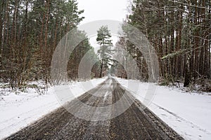 A snowy road through a winter forest II