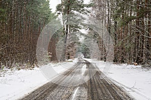 A snowy road through a winter forest III