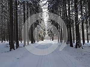 Snowy road in winter forest with snow covered spruce trees Brdy Mountains, Hills in central Czech Republic