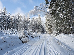Snowy road in winter forest with snow covered spruce trees Brdy Mountains, Hills in central Czech Republic, sunny day