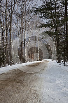 Snowy Road through the Woods