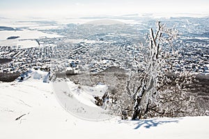 Snowy rocks and winter landscape