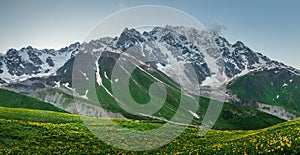 Snowy rocky mountain and summer grassy meadow in Svaneti, Georgia. Scenery Caucasus mountains