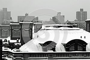 Snowy Rooftop